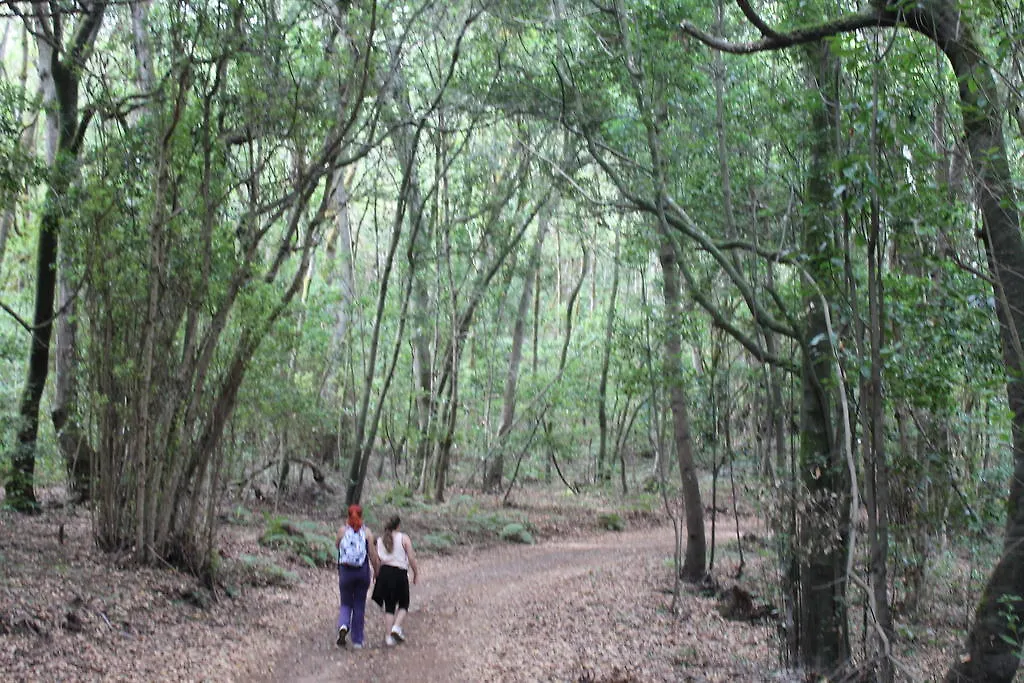 Casa Rural El Rincón de Antonia Agulo Сasa de vacaciones